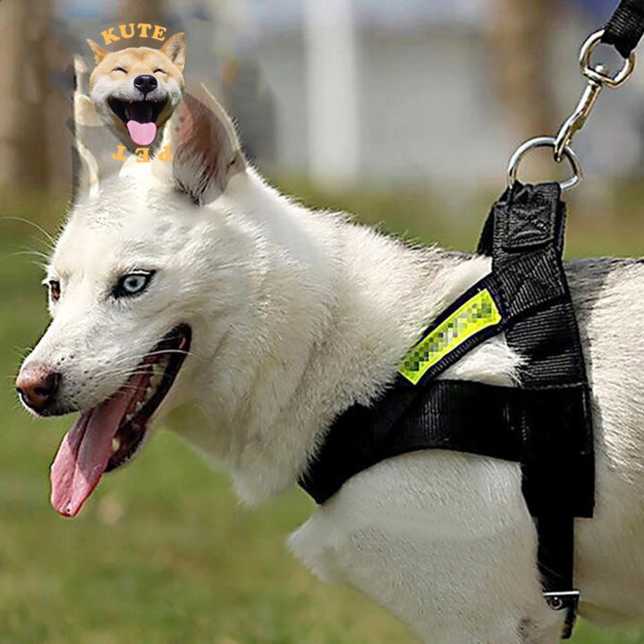 Dây dắt chó lớn POLICEDOG có phản quang