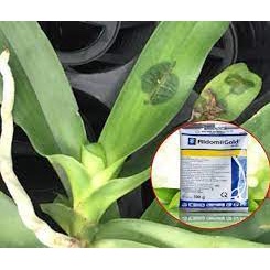 Thuốc trị nhũn thối TOTT'S FERTILIZER  RIDOMIL GOLD 68WP trị nấm cho cây ăn quả và hoa cảnh