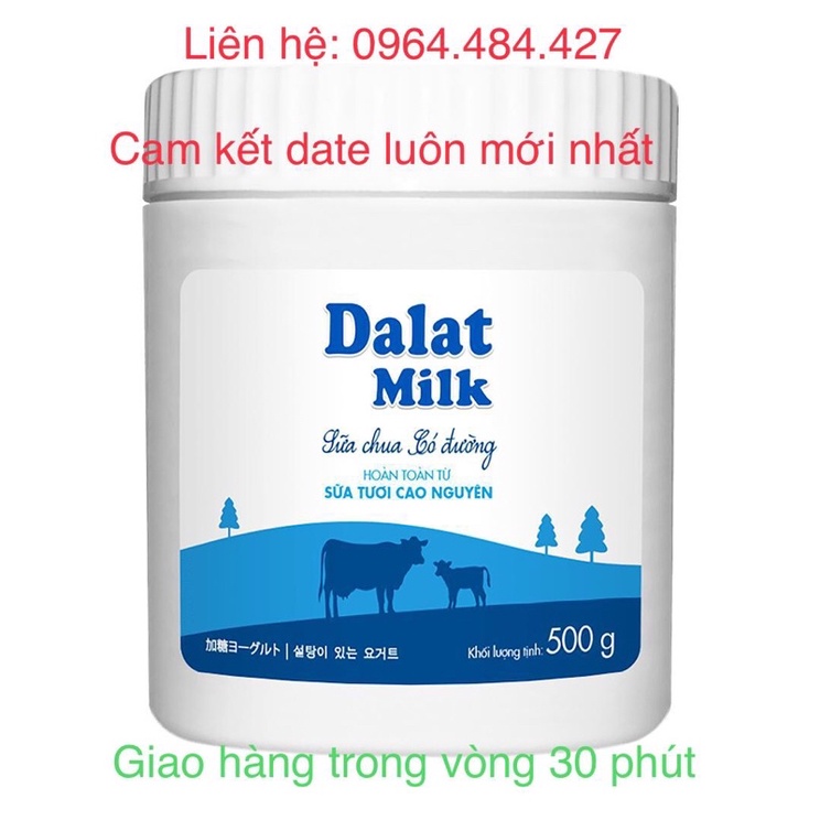 Sữa chua có đường Dalat milk 500g
