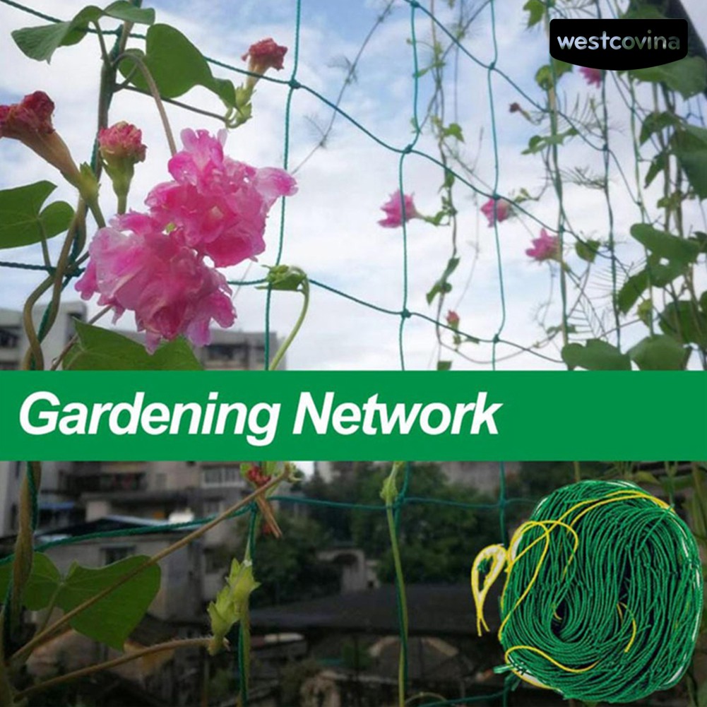 Lưới cho cây dây leo tiện dụng và bền