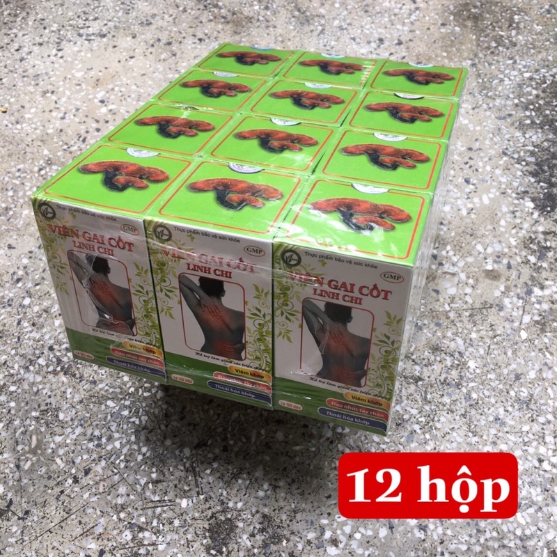 Viên Gai Cốt Linh Chi - cơ khớp kung fu - 12 hộp