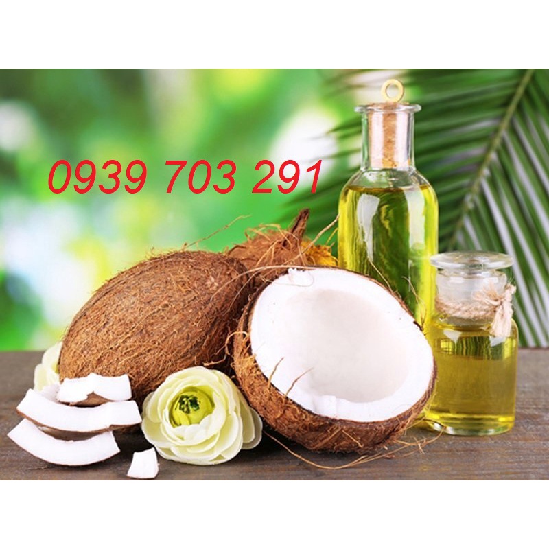 Dầu dừa nguyên chất Bến Tre chai 250ml 500ml 1L