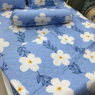 Drap nệm đẹp