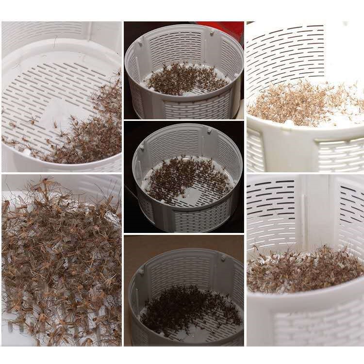 Đèn Bắt Muỗi Thông Minh Hàn Quốc