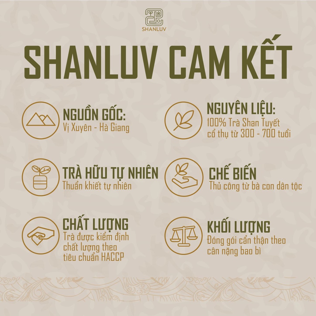 Trà Shan Tuyết Cổ Thụ Cây 300 Tuổi Hà Giang 10 loại SHANLUV Thơm Mật Hậu Ngọt, Bền Nước 8gr | BigBuy360 - bigbuy360.vn