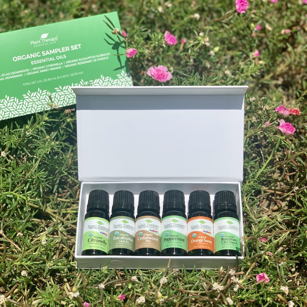 Plant therapy set tinh dầu organic căn bản