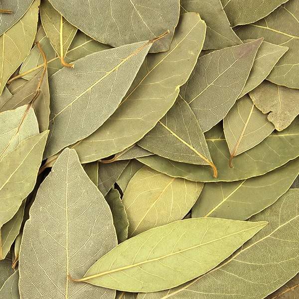 Lá nguyệt quế khô- lá bay leaves 500gr