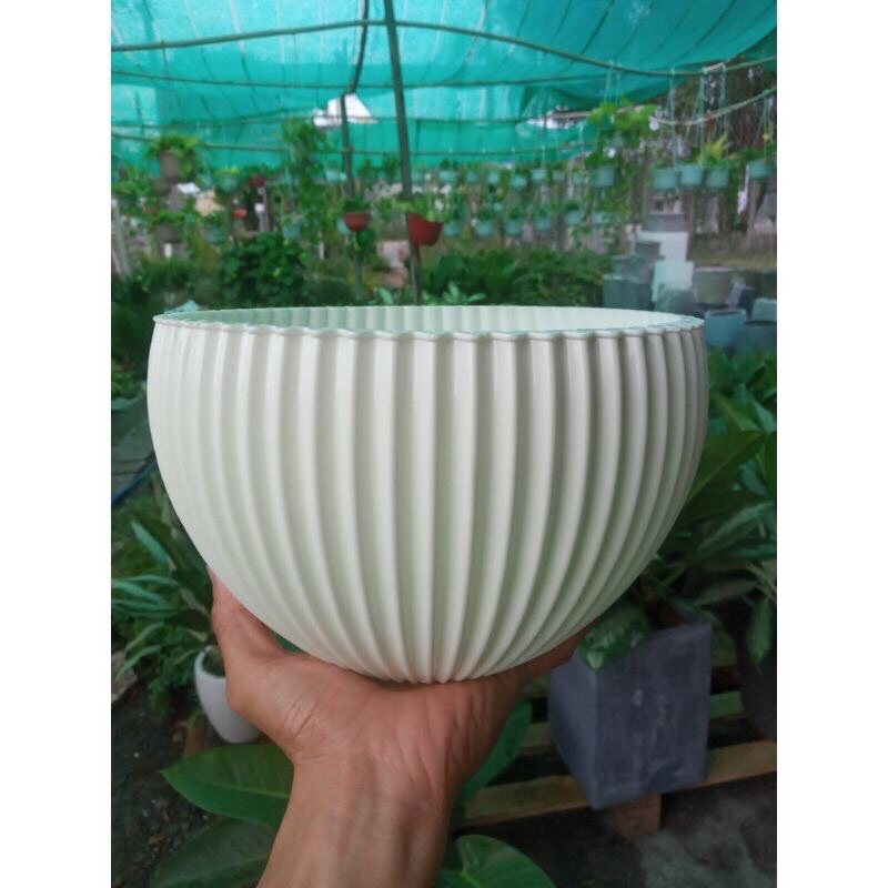 Chậu Gân sọc để bàn màu Vàng Đồng sang trọng
