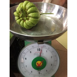 Quả Phật Thủ loại nhỏ - 4đến 5 lạng