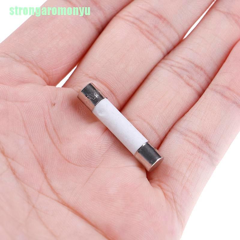 Bộ 10 Cầu Chì Sứ 20a 250v 6x30mm Cho Lò Vi Sóng
