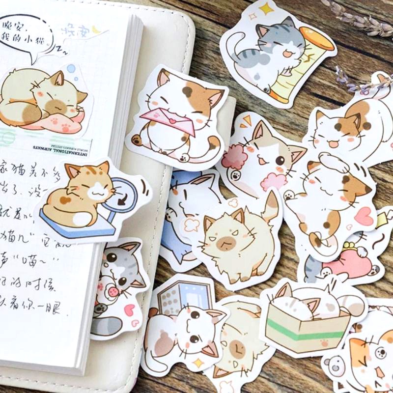 STICKER Mèo híp đáng yêu hộp 45 miếng dán trang trí sổ tay, lịch, ốp lưng điện thoại, laptop - S18