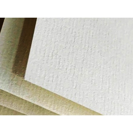 Giấy Canson vẽ màu nước và vẽ hình họa A0