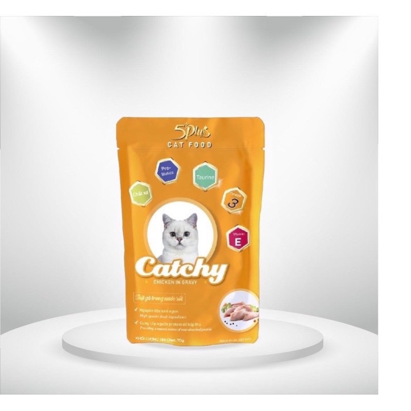 Pate 5 plus Catchy cho thú cưng gói 70gram