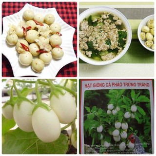 50 hạt giống cà pháo trứng trắng ngon