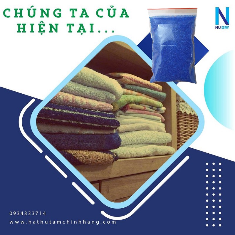 Túi hút ẩm Máy ảnh linh kiện điện tử xanh hạt hút ẩm Phòng Ngủ  Quần áo Giày dép 50/100/200 GR - NUD RY