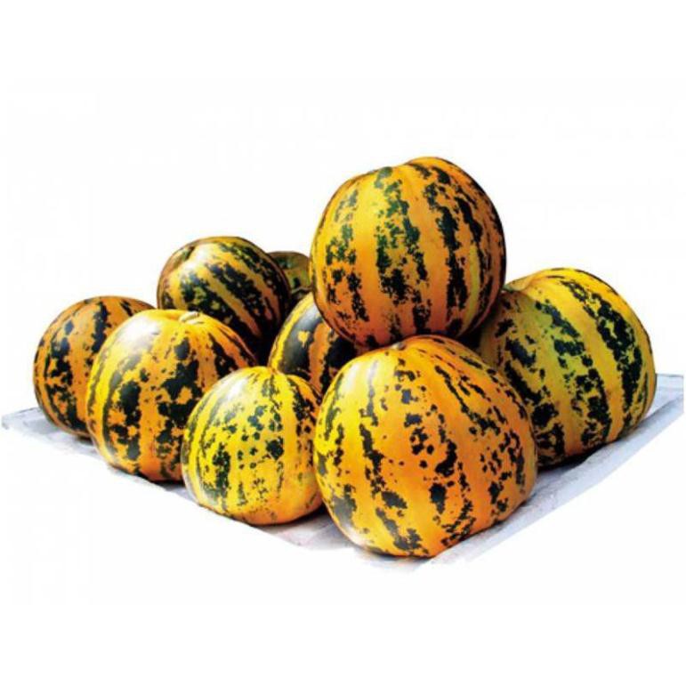 Hạt giống Dưa bở thơm - Dưa gang quả tròn VTP145 | Vạn Tín Store