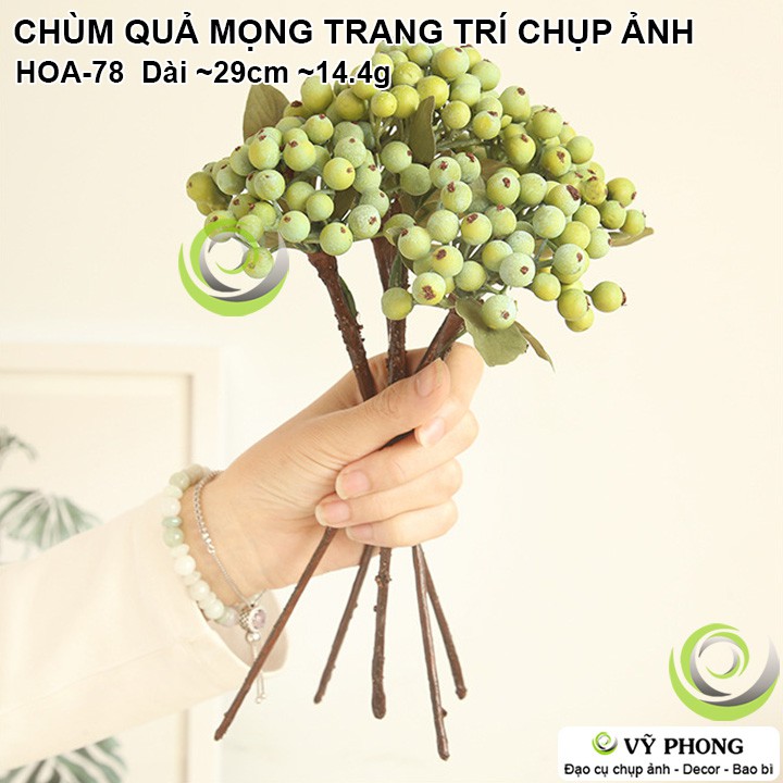 CHÙM QUẢ MỌNG TRANG TRÍ ĐÁM CƯỚI ĐẠO CỤ CHỤP ẢNH SẢN PHẨM INS HOA-78