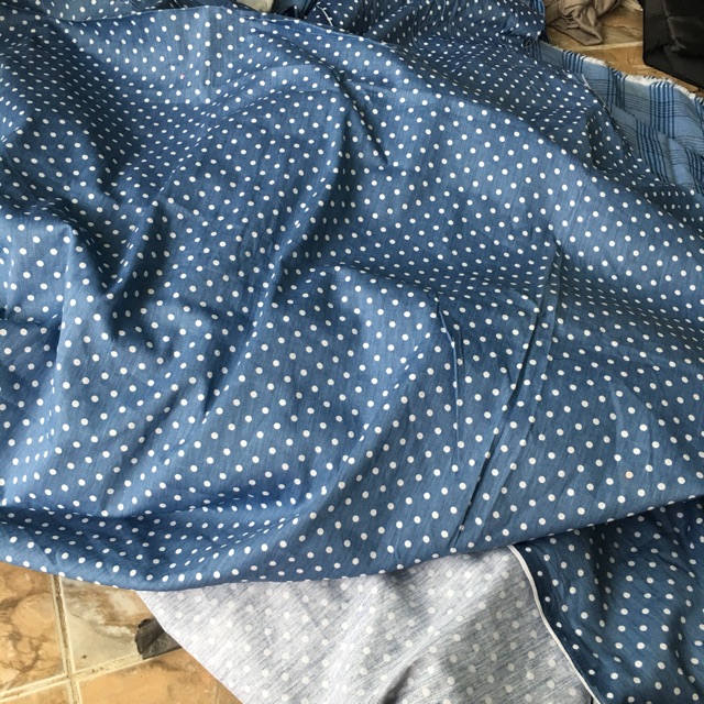 Bò giấy chấm bi