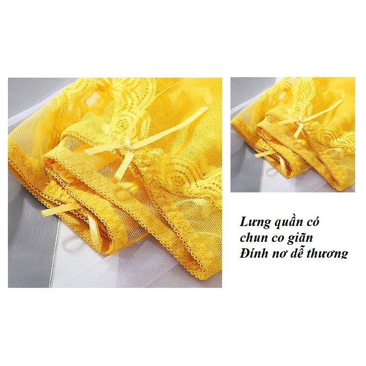 Quần lót nữ ren sexy mềm mại xuyên thấu sexy cao cấp QR07 - Her Sleepwear