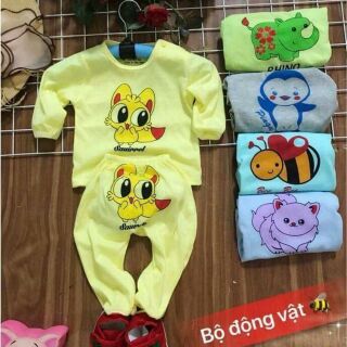 Combo Bộ thu