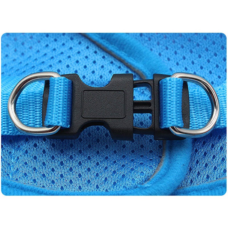 Bộ Đai Yếm Lưới Thoáng Khí Thoải Mái Tùy Chỉnh Dắt Thú Cưng Cỡ Lớn Và Nhỏ Có Dây Dắt