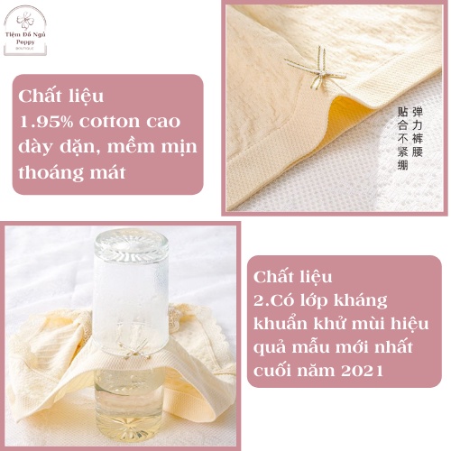 Quần lót nữ cotton không đường may, thoáng khí giữa eo cao cấp kháng khuẩn giá rẻ POPPY QL02 | BigBuy360 - bigbuy360.vn