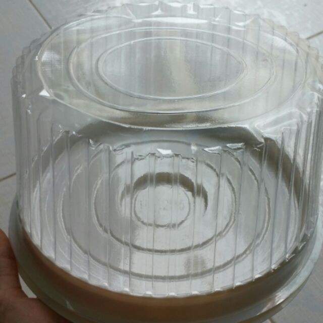 10 Hộp nhựa H25, 18cm x 10cm - 16cm x 10cm đựng bánh gato và bánh rau câu nắp sọc và cao hợp với nhiều mẫu bánh 4D