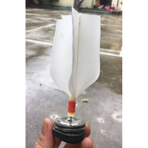 Cầu đá lông gà