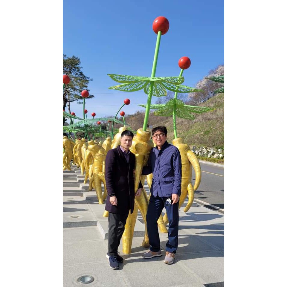 SÂM TƯƠI HÀN QUỐC 100% NHẬP KHẨU  SÂM LOẠI 20 CỦ 1 KG | BigBuy360 - bigbuy360.vn