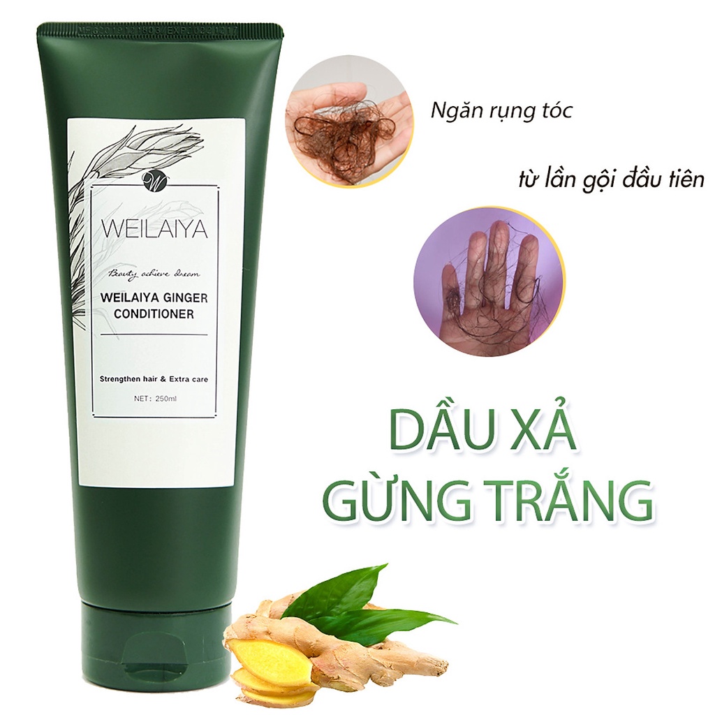 Dầu xả gừng Weilaiya chính hãng, dành cho tóc khô xơ, dưỡng tóc suôn mượt, 250ml