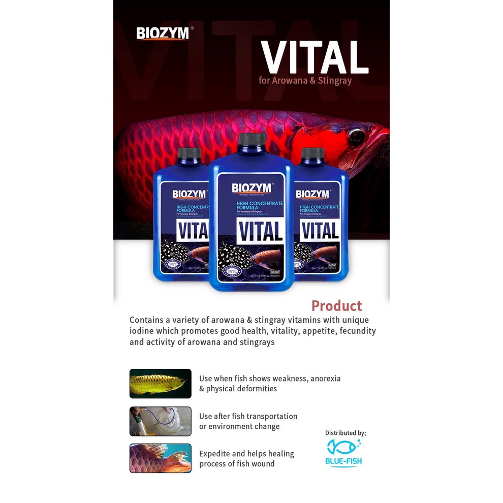 Biozym Vital - Vitamin cần thiết cho cá cảnh