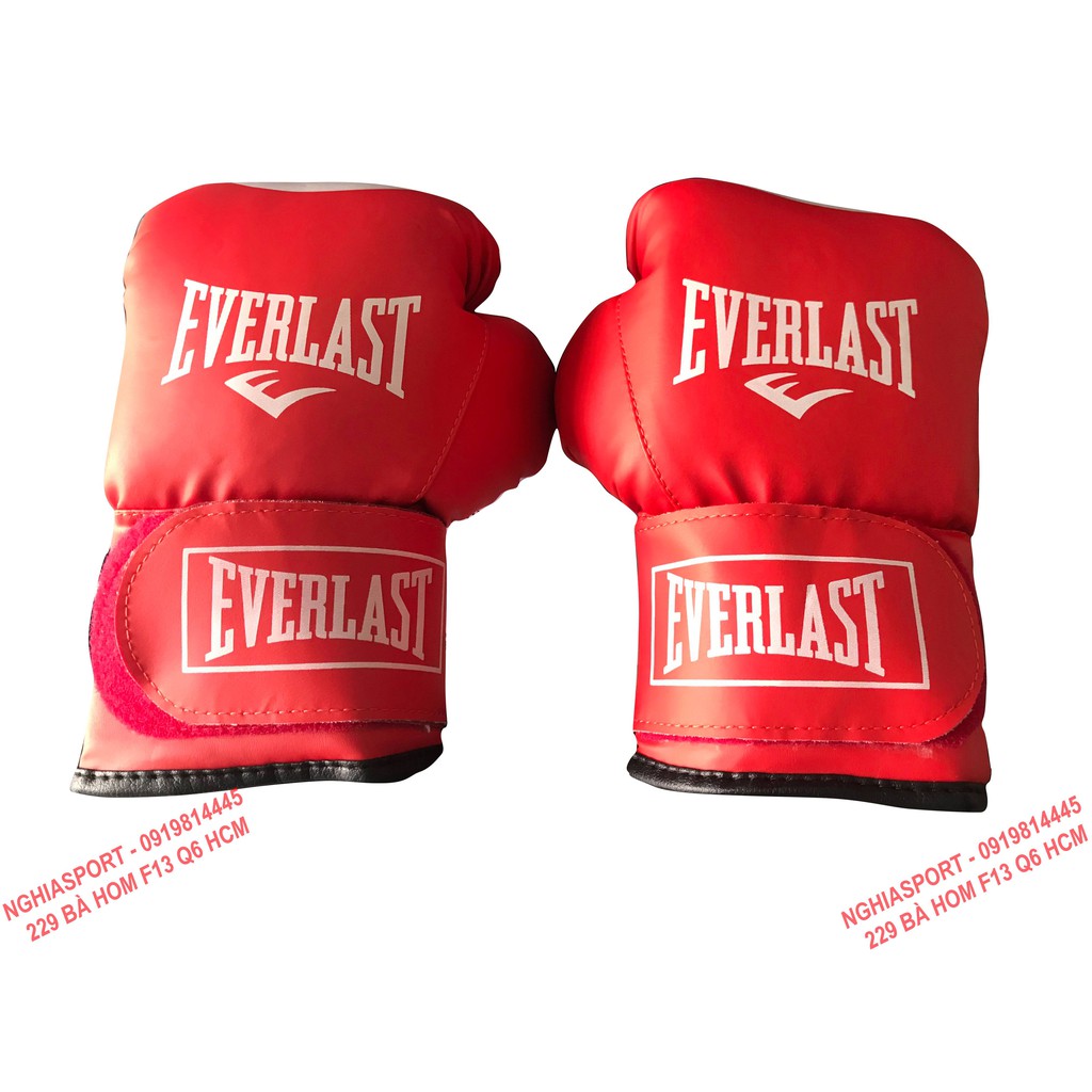 Găng boxing 12Oz Everlast