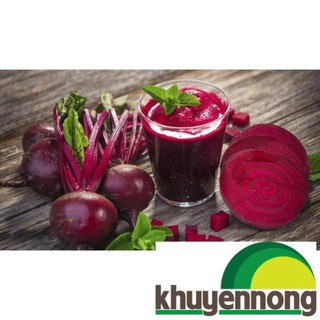 5gr Hạt giống củ dền đỏ
