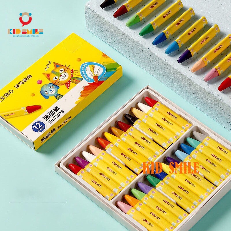 Bộ bút sáp dầu 12/24/36/48 màu cao cấp - DOZKIDZ