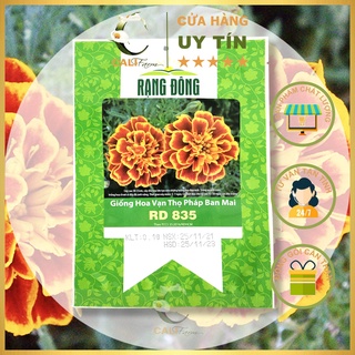 Hạt Giống Cúc Vạn Thọ Pháp Ban Mai RD 835