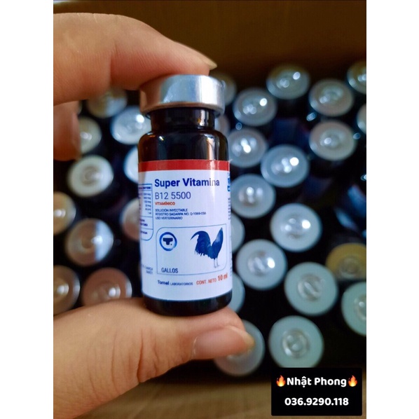 SUPER VITAMINA B12 5500 - (Nuôi cao cấp dành cho Chiến Kê)