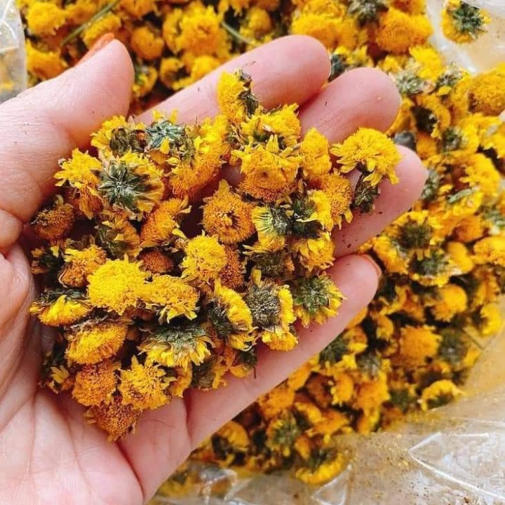 50g Trà Hoa Cúc Chi Hưng Yên Hàng Loại 1, Cúc Vàng Nụ Bé Sấy Lạnh Nguyên Bông Giúp Ngủ Ngon