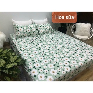 Bộ 3 món ga vỏ gối cotton poly cao cấp mùa hè đủ màu, full size