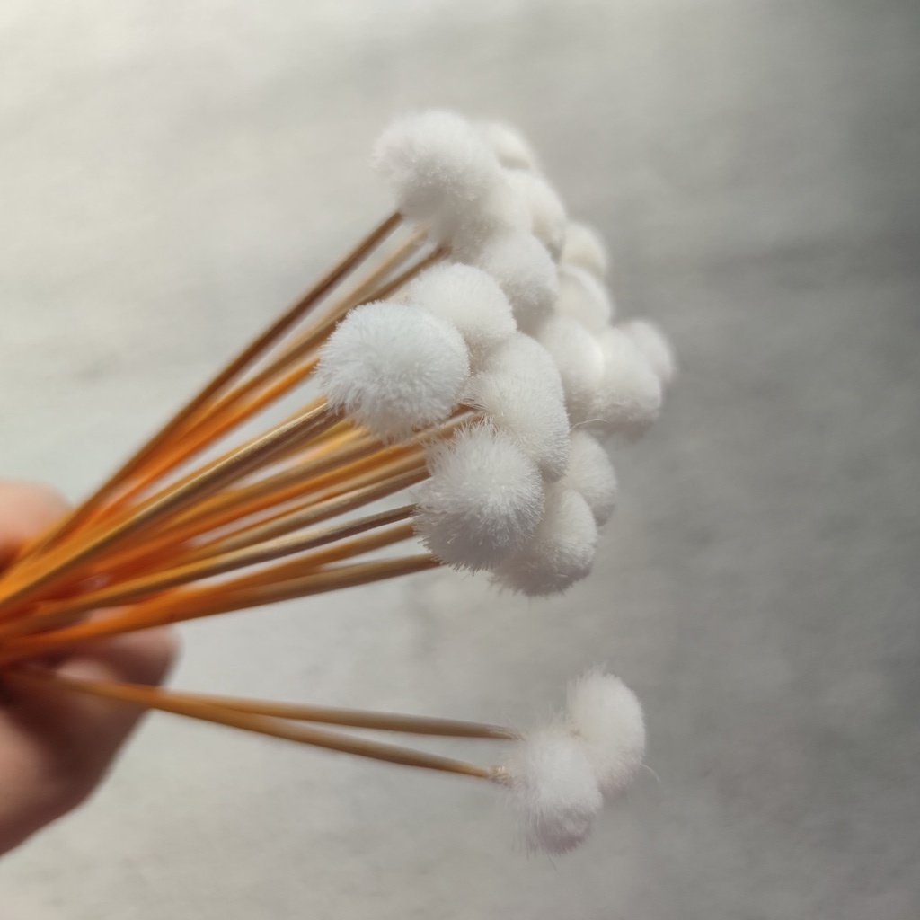 Combo 5 Cây Bông Ngoáy Tai Bông Xoay Tai Làm Sach Tai Cao Cấp