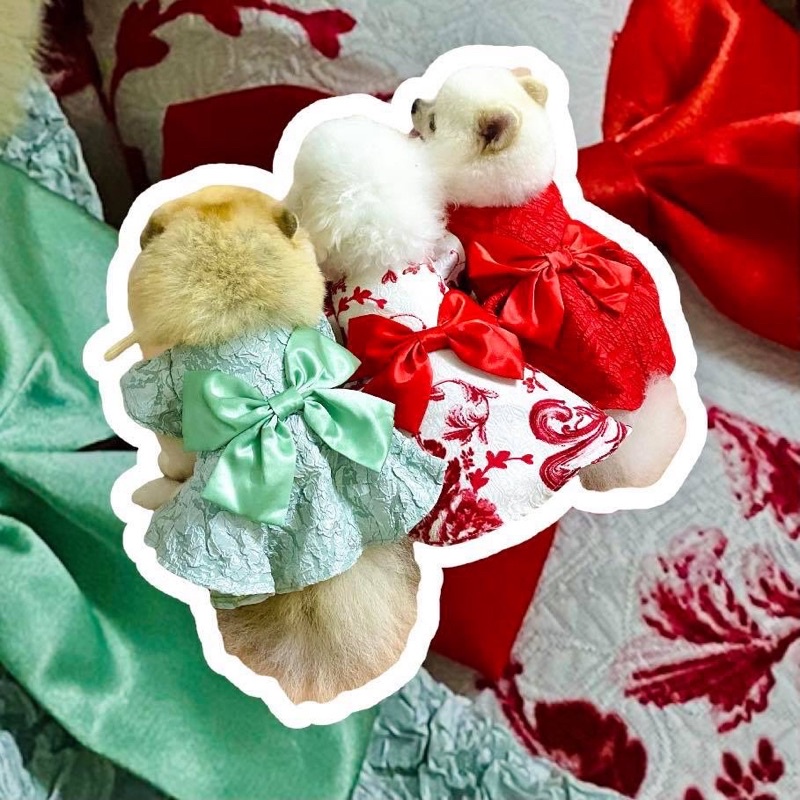 Đầm nơ bản to cao cấp chó mèo