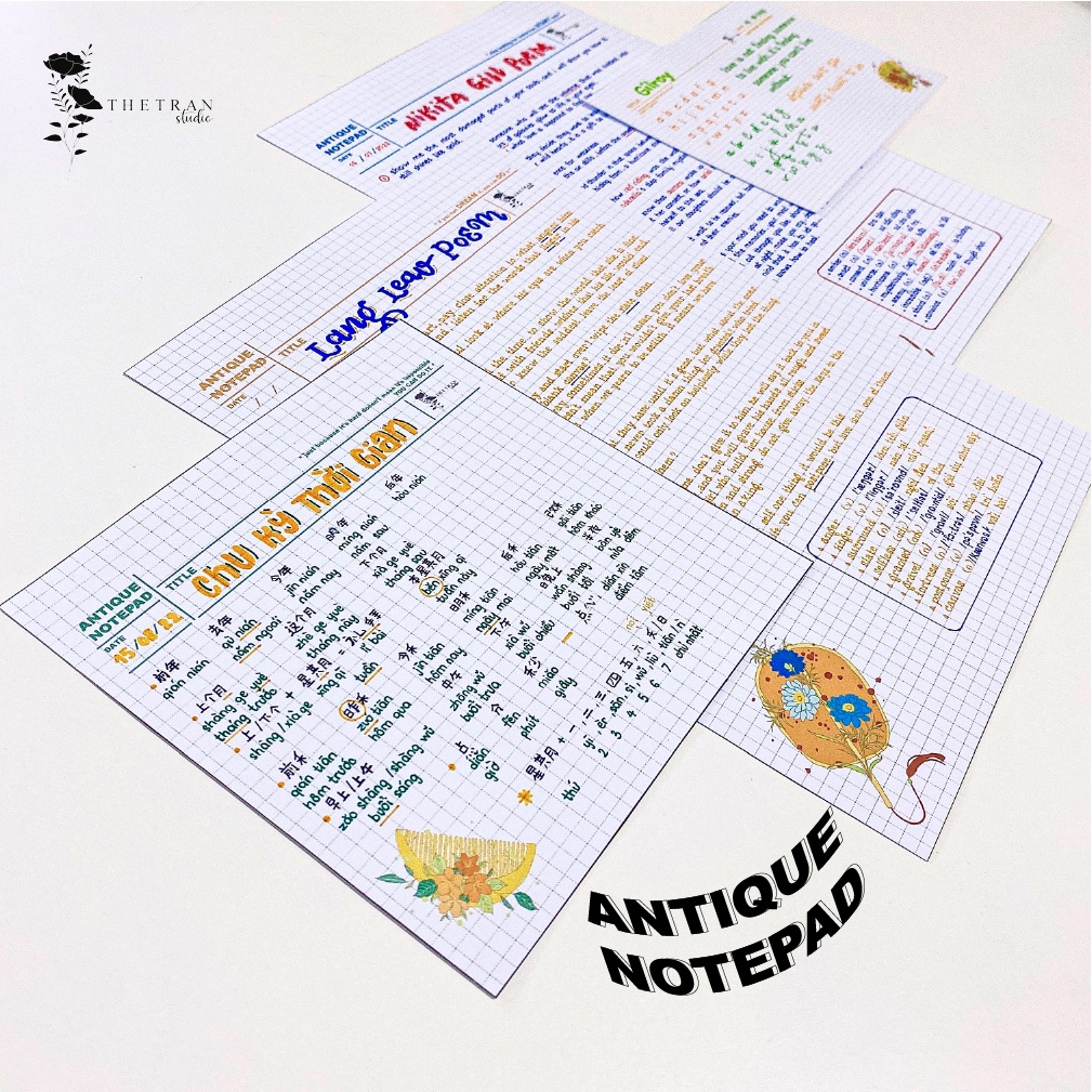 Bộ 10 tờ giấy ghi chép kẻ caro - A4, B5, A5, A6 - dọc, ngang cổ trang / antique notepad / thetranstudio