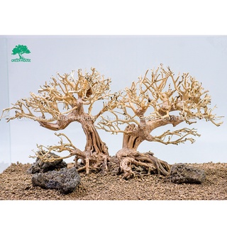 Lũa Bonsai, Lũa thủy sinh dùng trang trí hồ cá cảnh, hồ thủy sinh, văn phòng, nhà cửa (GH-BSR/08)