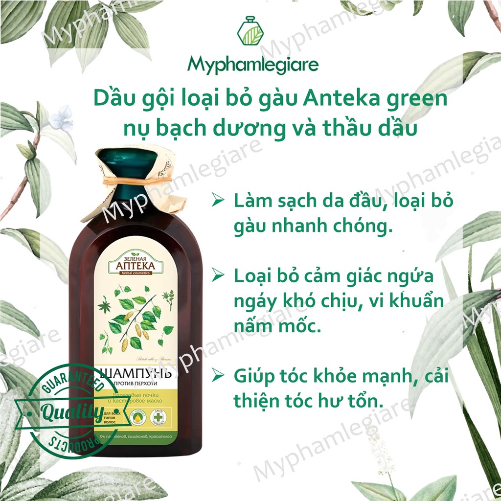 DẦU GỘI loại bỏ GÀU ANTEKA GREEN