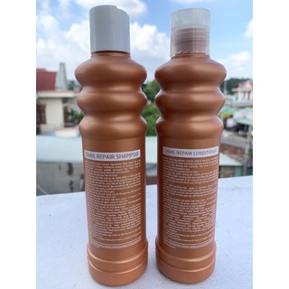 Cặp gội-xã tóc Snail