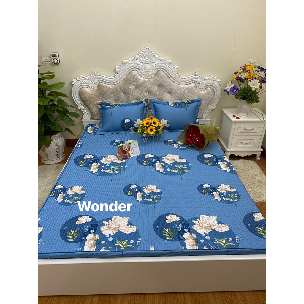 Bộ ga chun trần bông cotton Hàn Quốc cao cấp