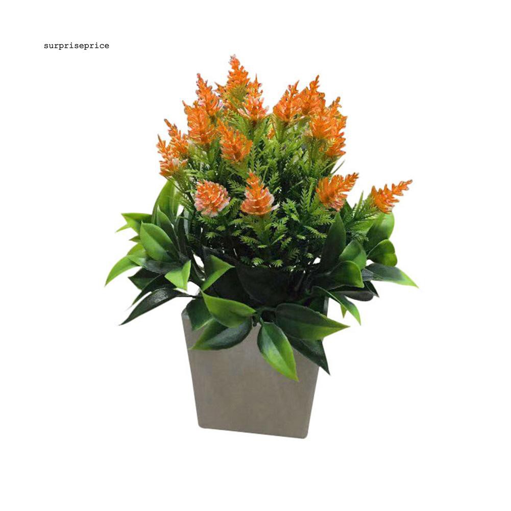 Set chậu và cây nhân tạo xinh xắn trang trí sân vườn nhà cửa