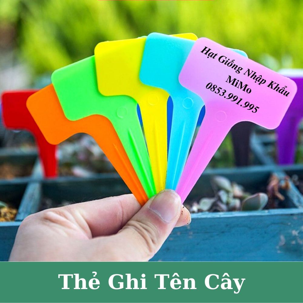 Thẻ ghi tên cây trồng - Đánh dấu thông tin và trang trí cây trồng, decor sân vườn