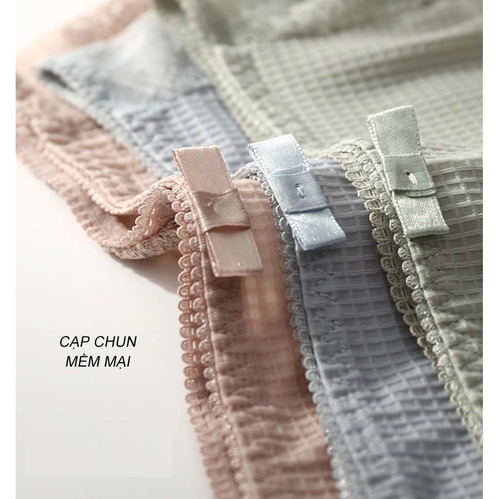 Quần lót su HAVANA gân caro pha ren - hàng cao cấp FLQ50