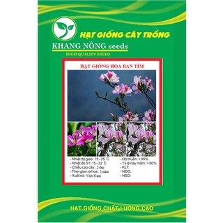 Hạt giống cây hoa ban tím kns3733 - gói 10 hạt