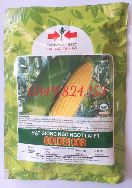 Hạt giống NGÔ NGỌT( BẮP NGỌT) LAI F1 GOLDEN COB 2 MŨI TÊN 50 Gam